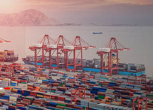 上海進口報關公司能為企業提供哪些服務？