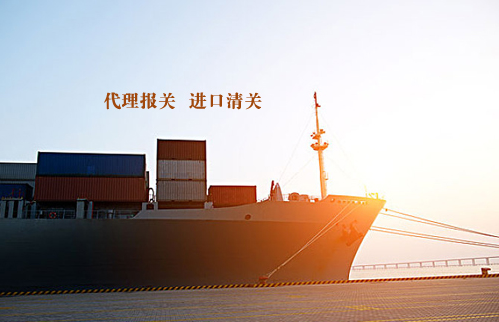 如何選擇一家靠譜的海運貨運公司？