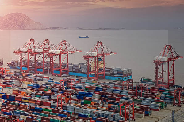 專業(yè)進(jìn)出口代理公司